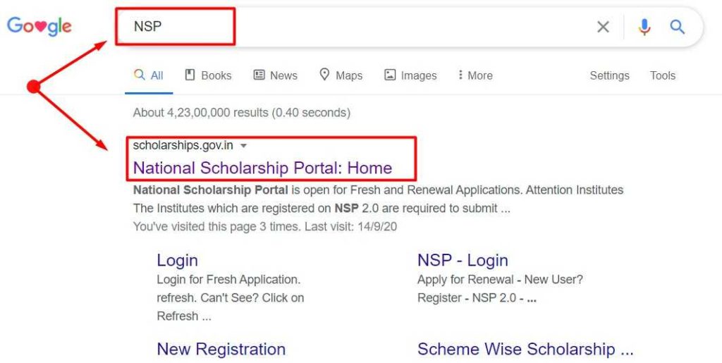 Search Result for NSP Keyword in google